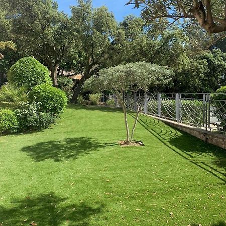 Studio En Rez-De-Jardin Arbore Avec Acces Piscine Et Clim Villeneuve-lès-Avignon Kültér fotó