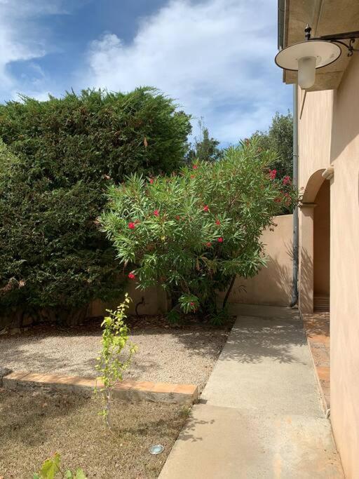 Studio En Rez-De-Jardin Arbore Avec Acces Piscine Et Clim Villeneuve-lès-Avignon Kültér fotó