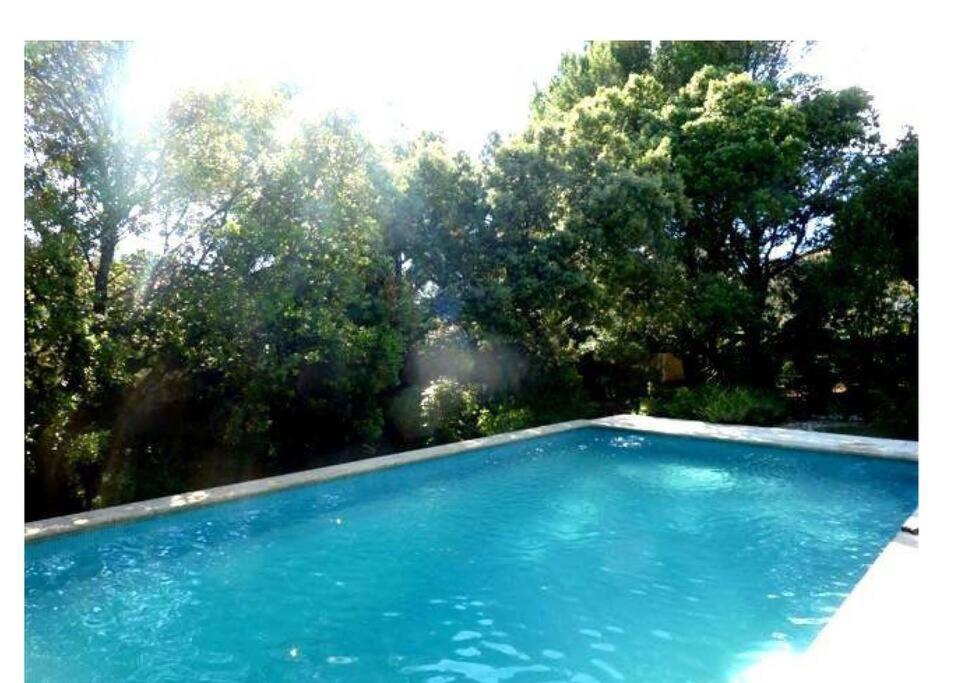 Studio En Rez-De-Jardin Arbore Avec Acces Piscine Et Clim Villeneuve-lès-Avignon Kültér fotó