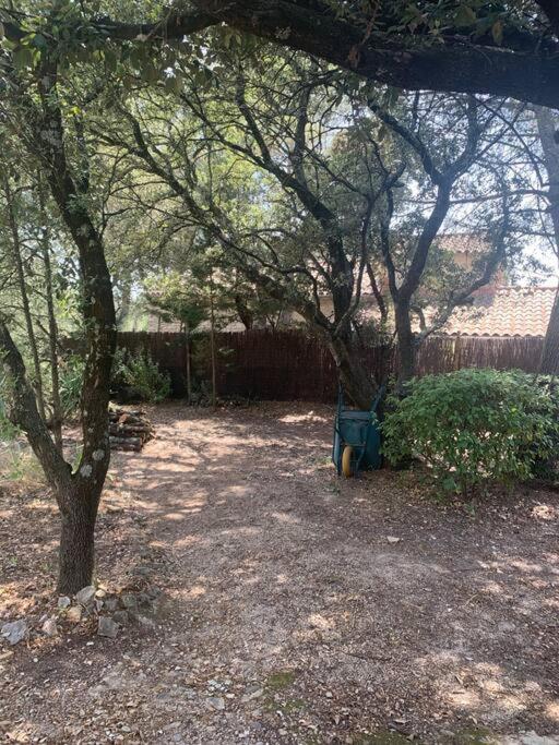 Studio En Rez-De-Jardin Arbore Avec Acces Piscine Et Clim Villeneuve-lès-Avignon Kültér fotó